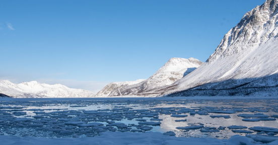 Discover the Fjords of Kvaløya