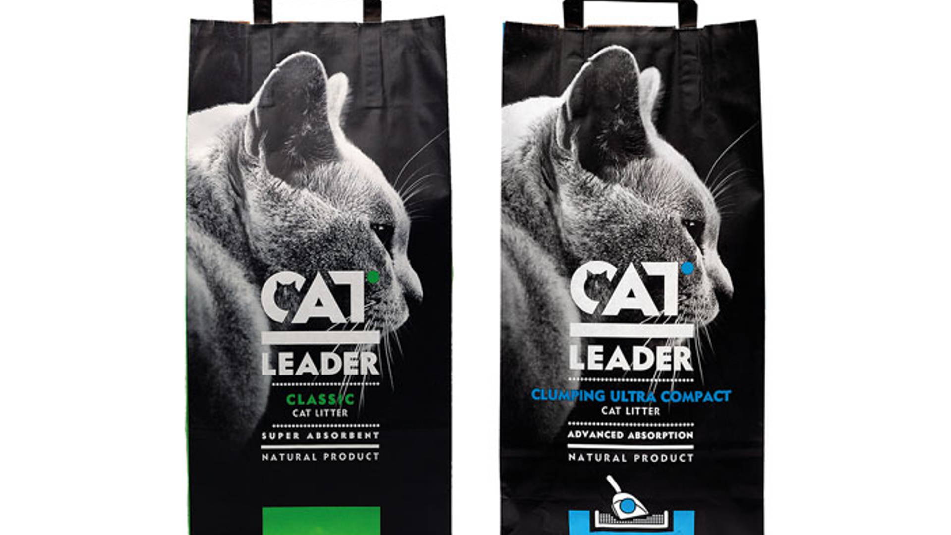 Featured image for Cat Leader 