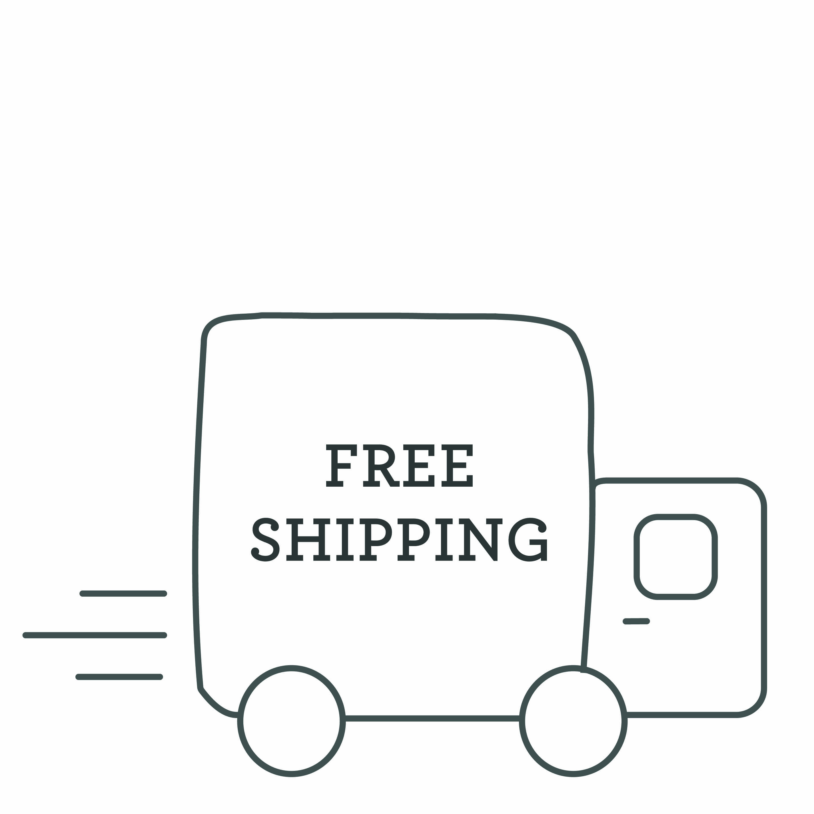 Free shipping icon