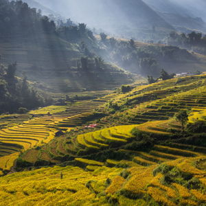Honeymoon in Vietnam