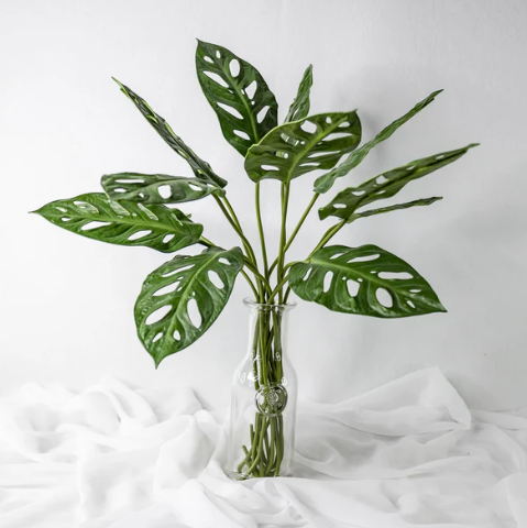 Large Obliqua Leaf (12 Pack) - Realistic Artificial Flowers and Greenery - Image 3