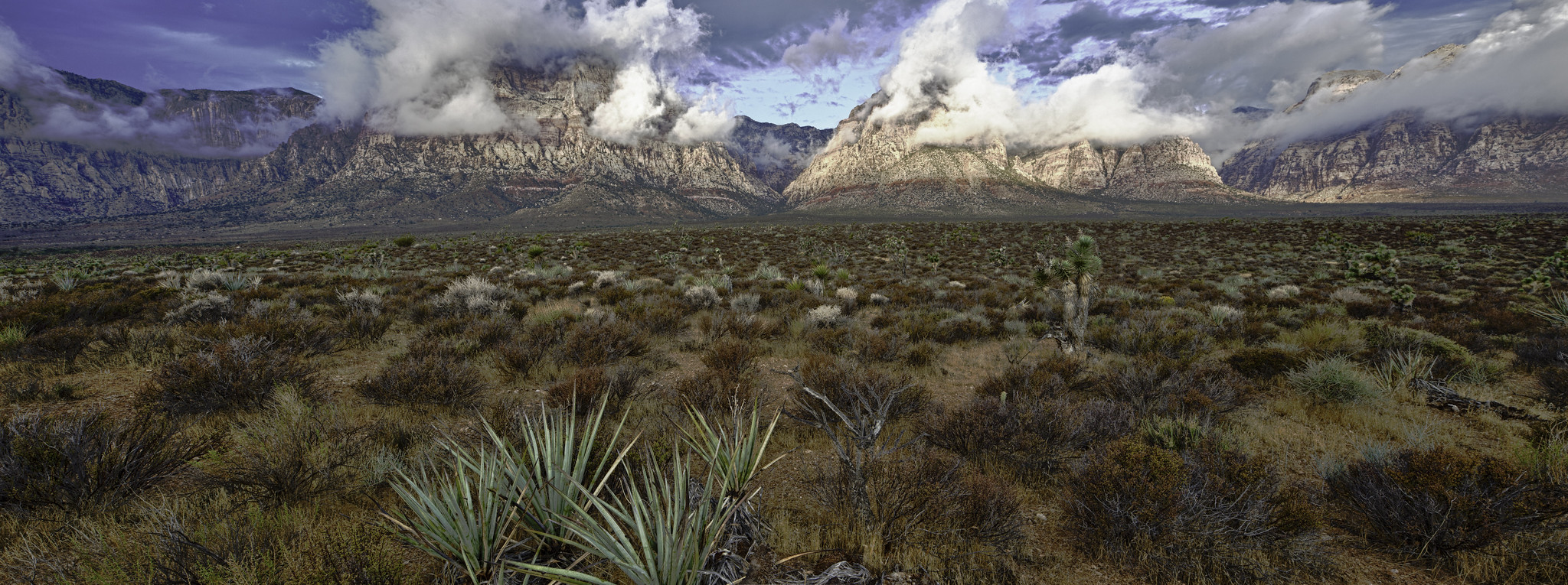Red Rock Canyon National Conservation Area Uploaded on 2022-01-31