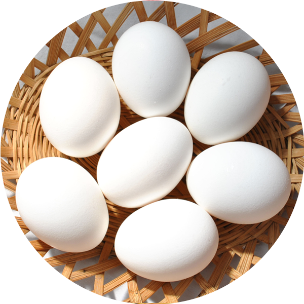 Eggs as a natural source of folic acid, supporting cell growth in the best vitamin B complex Singapore.
