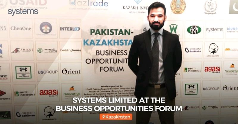 About Systems Limited