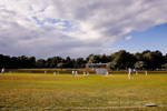 Purbrook Cricket Club Logo