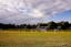 Purbrook Cricket Club logo