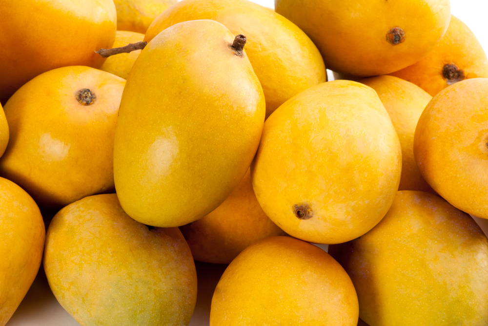 Alphonso mangoes in a pile