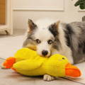 calming-duck-toy