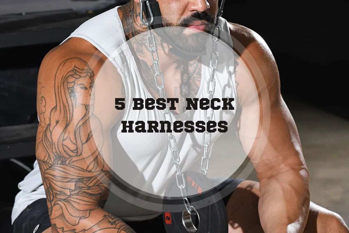 5 Best Neck Harnesses 5 Best Neck Harnesses
