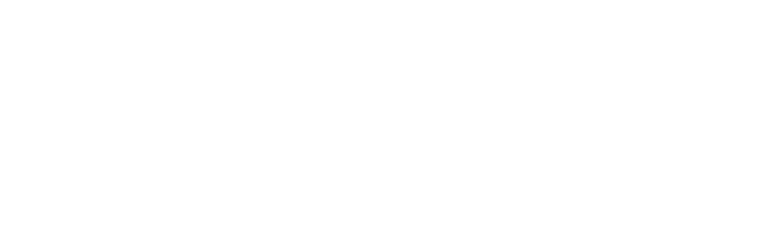 Antonio Ortega LLC Logo