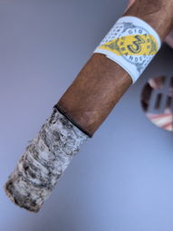 Nice ash