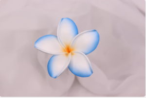 Ocean Breeze Frangipani Real Touch (6 Pack) - Realistic Artificial Flowers