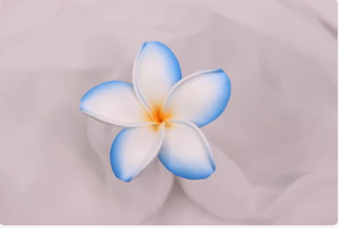 Ocean Breeze Frangipani Real Touch (6 Pack) - Realistic Artificial Flowers