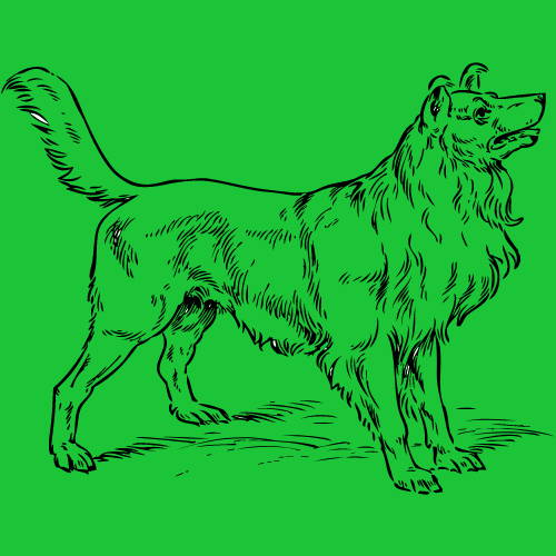Black Drawing of Dog over a Green Background