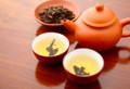 中国茶 種類