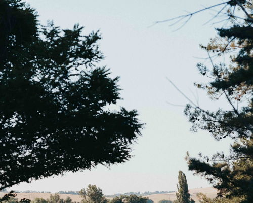 Food & Wine Tours Bottega: Casolare Albani: History & Orchard Tasting