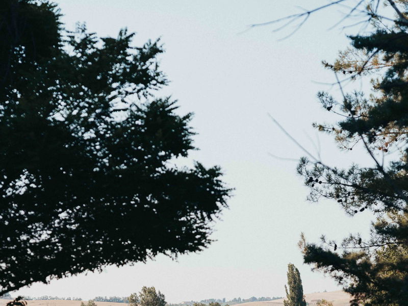 Food & Wine Tours Vallefoglia: Casolare Albani: History & Orchard Tasting