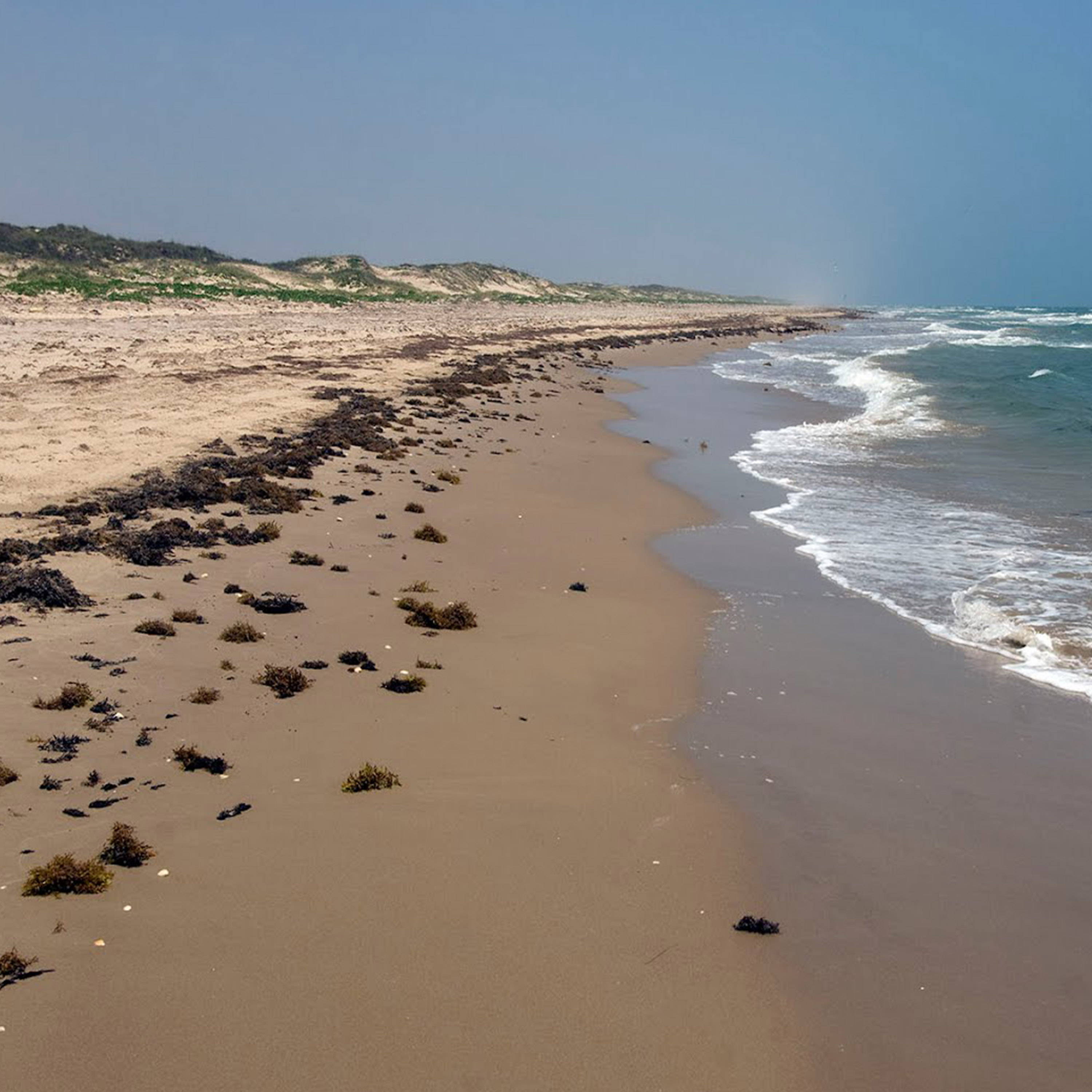Padre Island National Seashore, Gulf Coast, Sea side Camping, Beach Walking, Star Gazing Spot