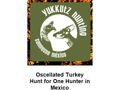 Ocellated Turkey Hunt for One Hunter in Mexico by Yukkutz Hunting