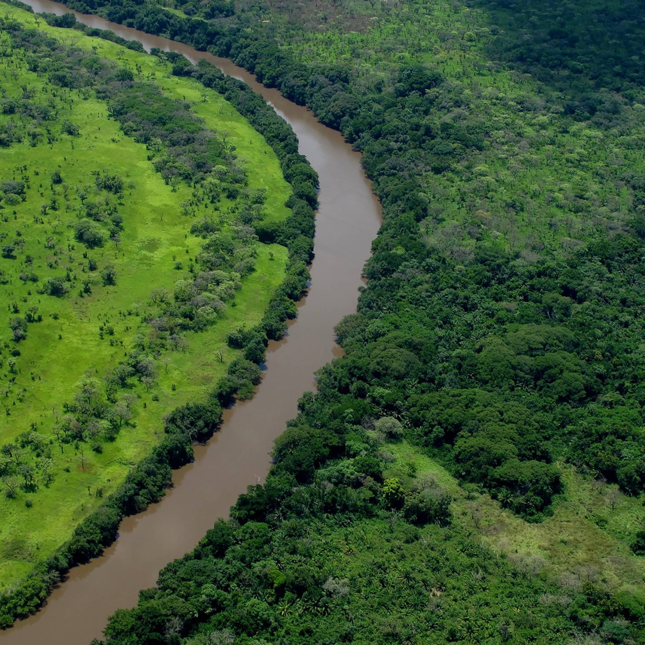 Congolese landscape  with river