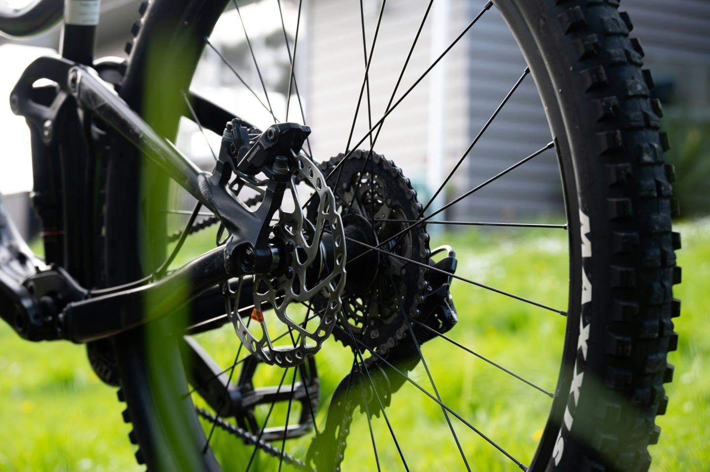 mountain bike elettrica