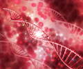 Is the MTHFR Gene Mutation a Blood Clotting Disorder
