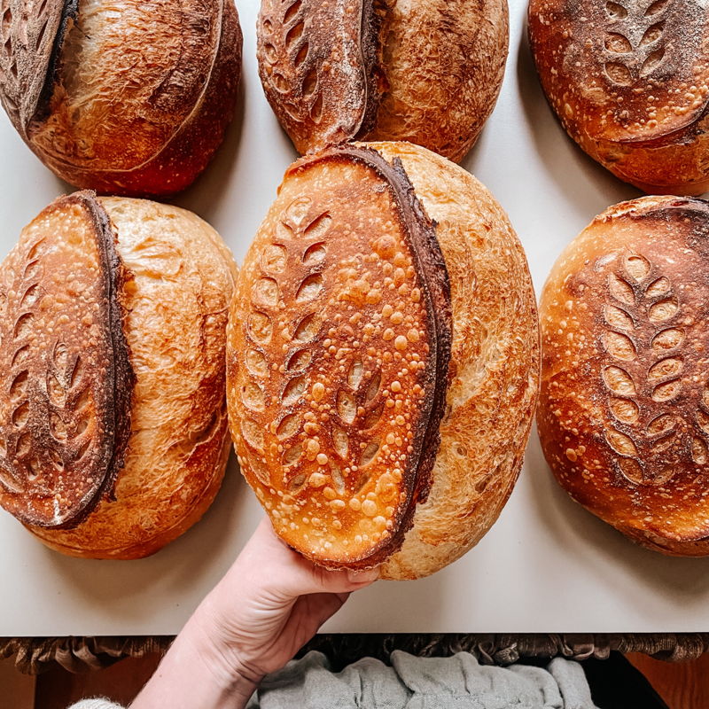Alexandria Fisk • Linens & Loaves — photo from hotplate.com