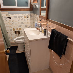 Gut Renovating Our Bathroom
