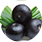 organic acai