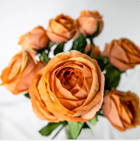 Burnt Sienna David Austin Real Touch Open Bud Rose - Realistic Artificial Flowers