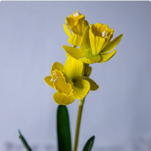 Narcissus/Jonquils - Realistic Artificial Flowers