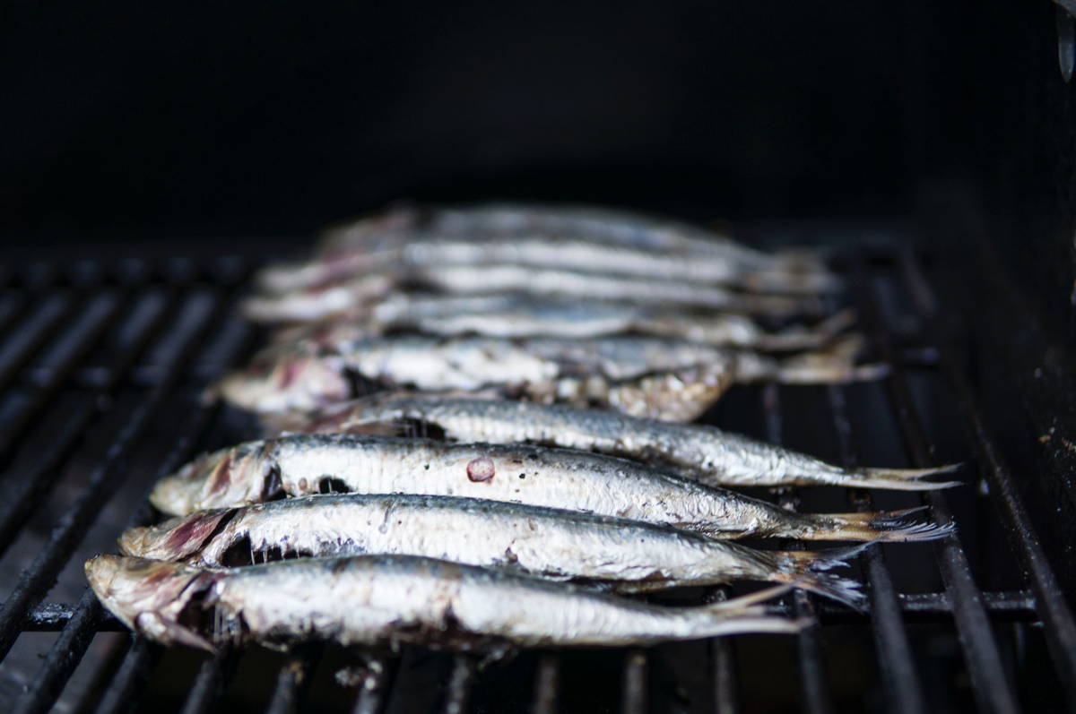 poisson grillé au barbecue – quel vin choisir ?
