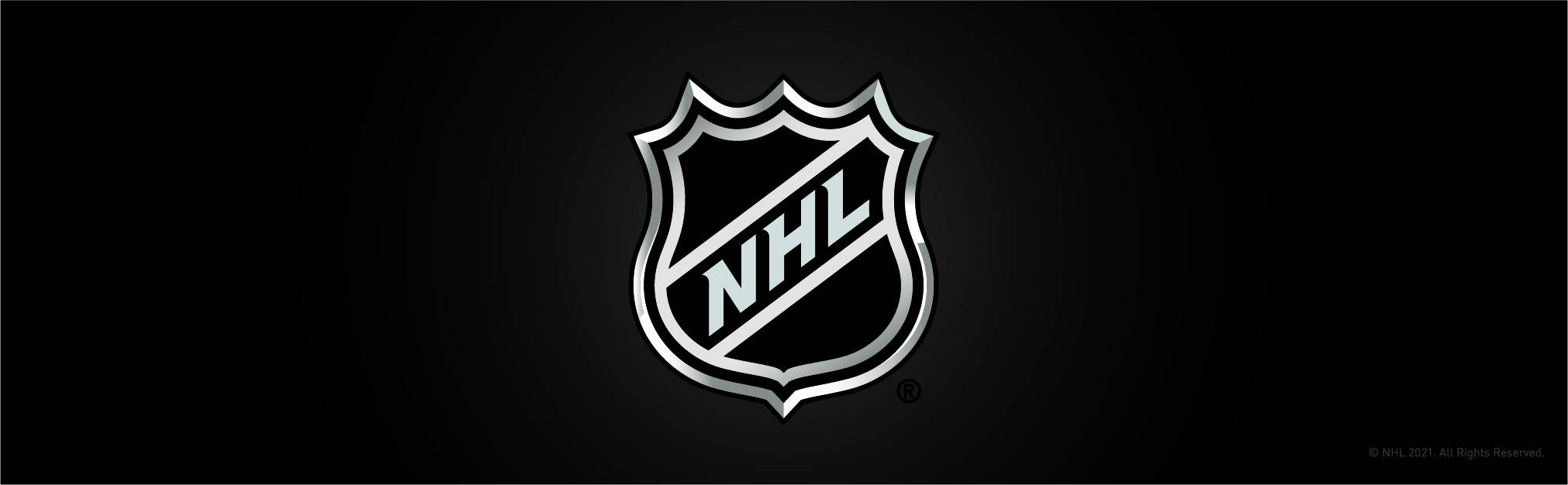 NHL logo banner
