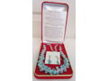 Amazonite Necklace and Earrings