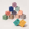 Montessori Squeaky Block Set.