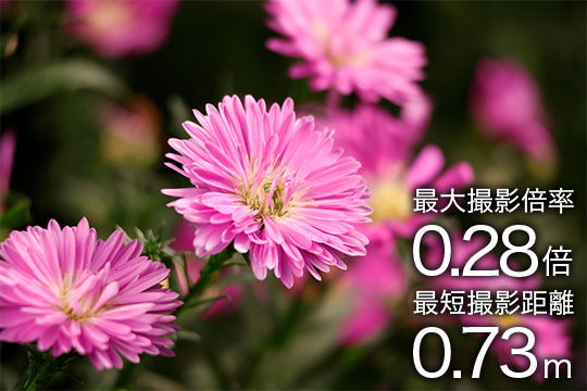 被写体に迫れる近接撮影仕様
