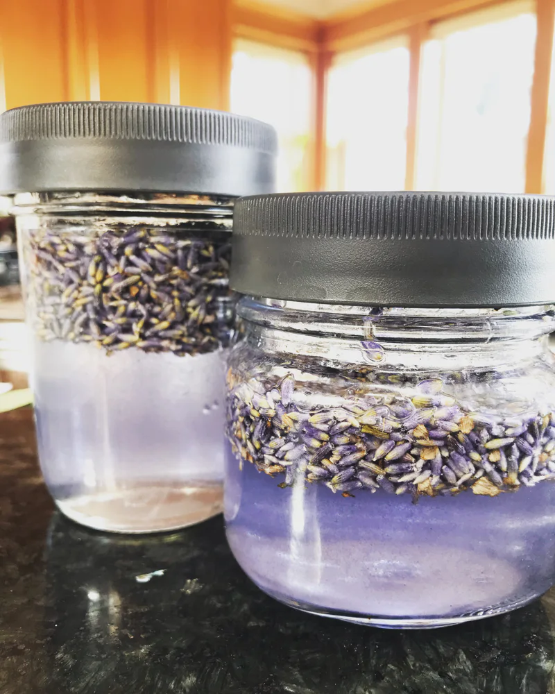 Lavender in glycerin