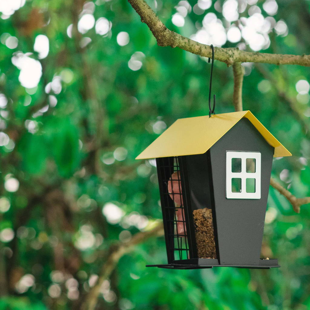 Topflite premium wild bird feeder - a restaurant for the birds in your garden!