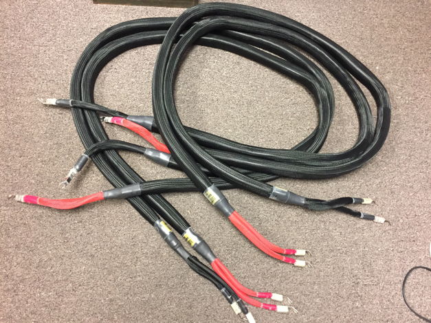Elrod Power Systems Statement Gold Speaker Cables 10ft ...