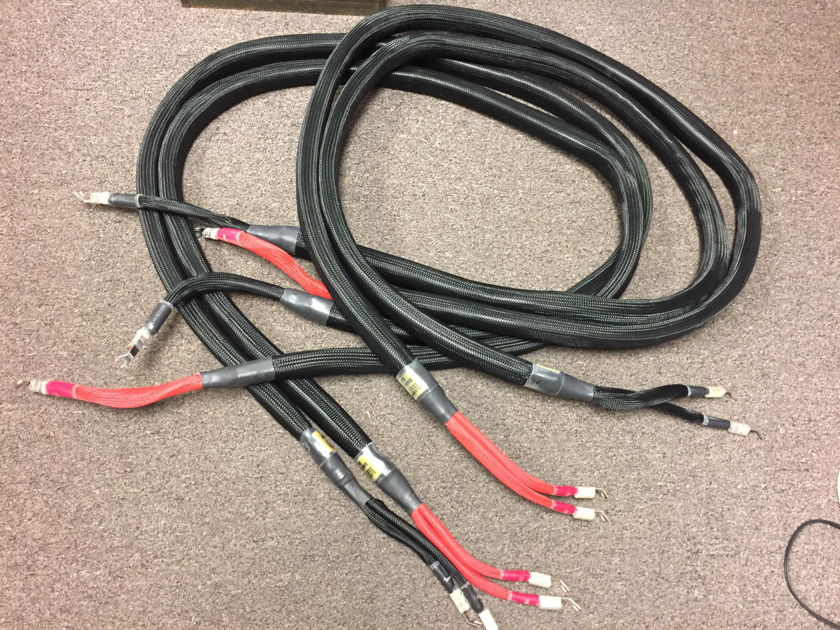 Elrod Power Systems Statement Gold Speaker Cables 10ft "Sale Pending"