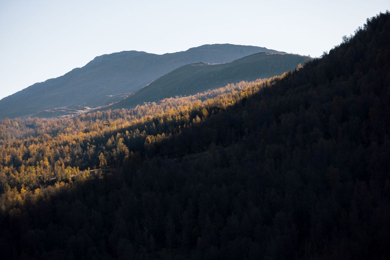 Haust i Myrkdalen