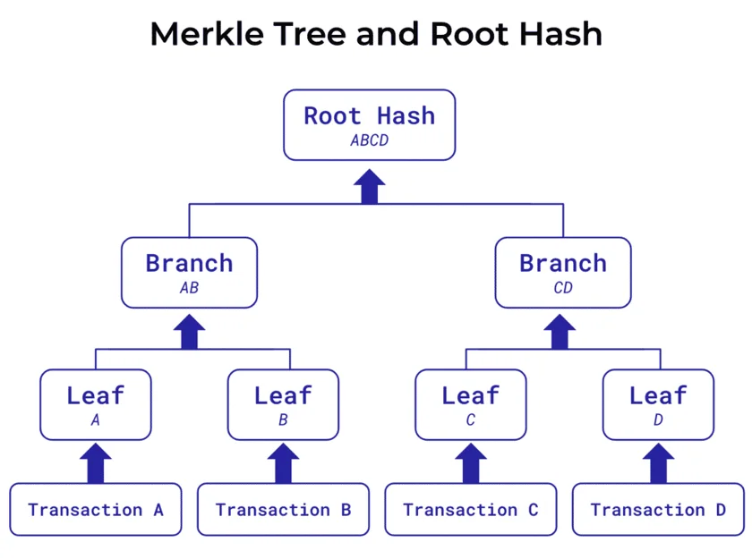 A Merkle tree