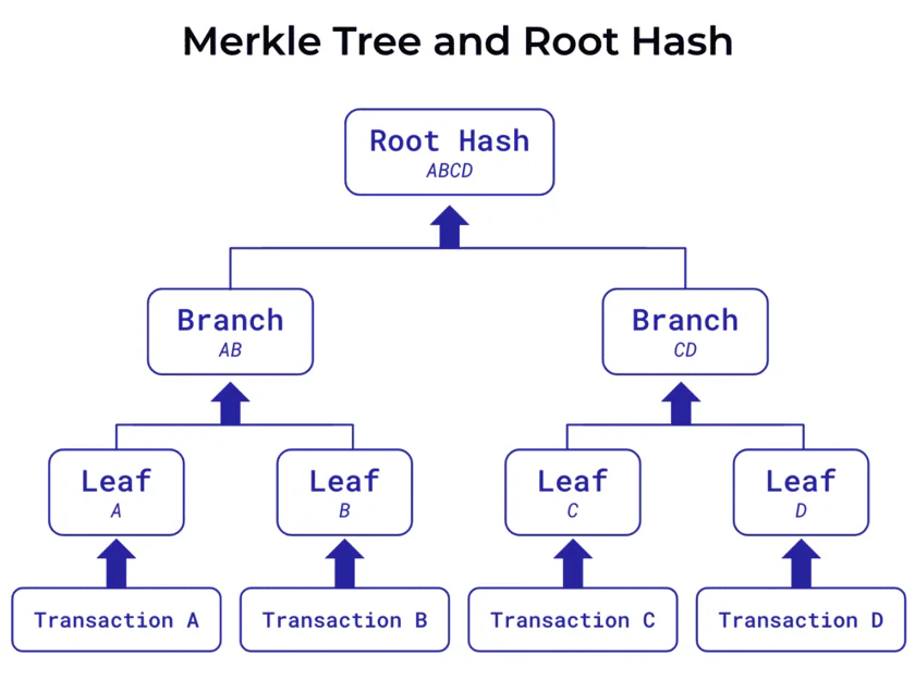 A Merkle tree