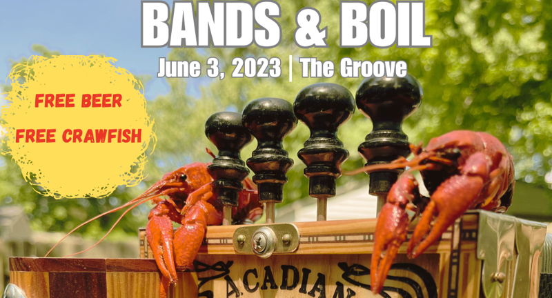 Bands & Boil 2023 feat. Runner of the Woods & more