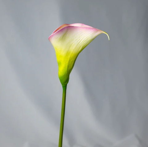 Yellow/Pink Small Calla Lily - Realistic Artificial Flowers - Image 3