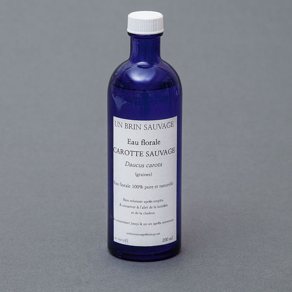 eau-florale-de-carotte-sauvage