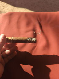 Cigar Session Photo