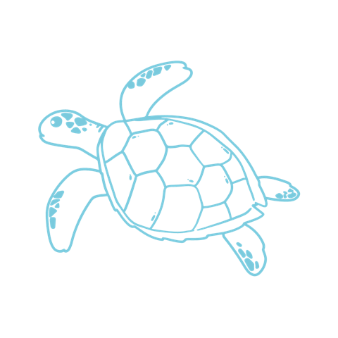 outline of swimming turtle