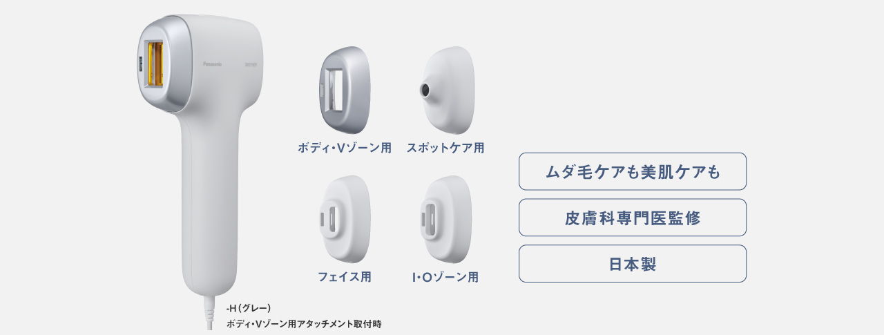 本体
