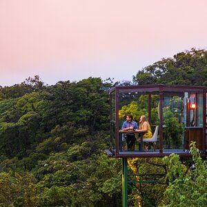 Honeymoon - San Lucas Treetop Dining Experience